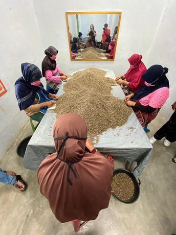 Mama's Ethiopia Washed